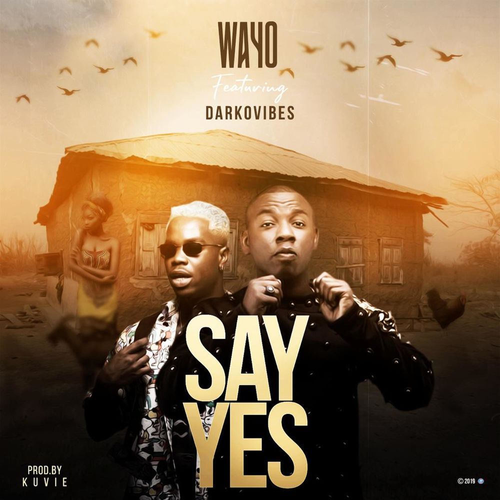 Wayo ft. Darkovibes - Say Yes Prod. By Kuvie