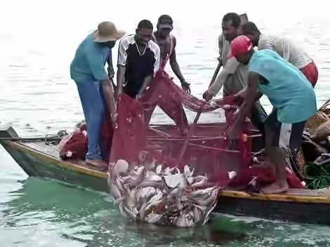 Fishing Communities Get Ghc 7.5m In New Projects Under Current Premix Arrangement