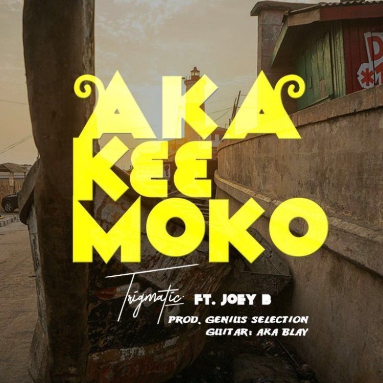 Trigmatic ft. Joey B - Aka Kɛɛ Moko (Prod. By Genius Selection)
