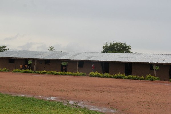Oti Region: Snakes Invade Class, Force Teachers And Students Out