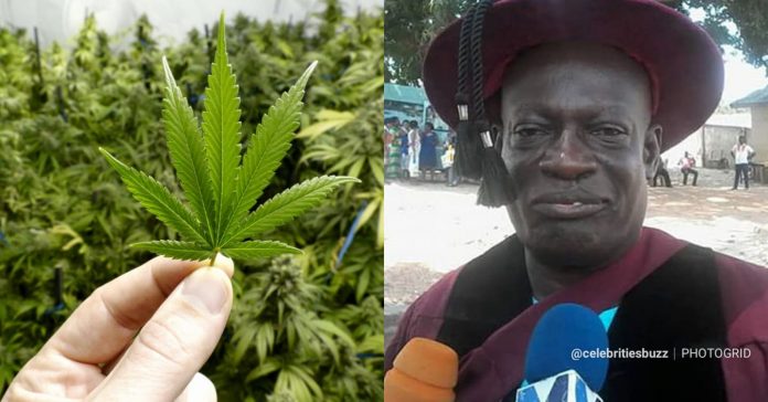 Build a marijuana factory in my community as part of 1-district, 1-factory – Ghanaian Chief