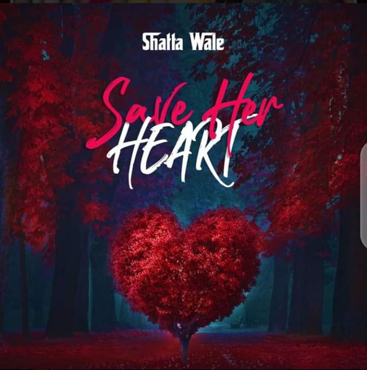 Shatta Wale - Save Her Heart
