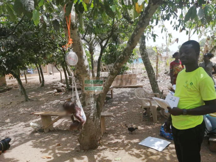 Babies And Mothers Receive Healthcare Services Under Cocoa Trees In Amonom