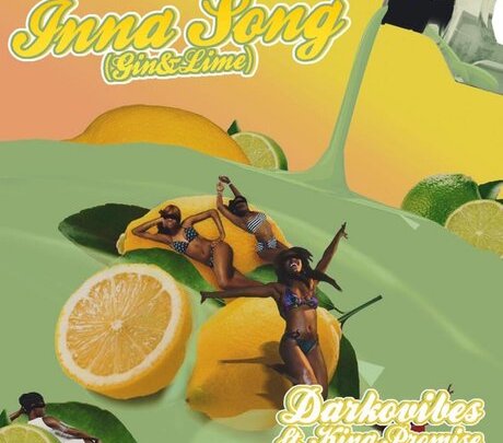 Darkovibes ft. King Promise - Inna Song (Gin &amp; Lime)