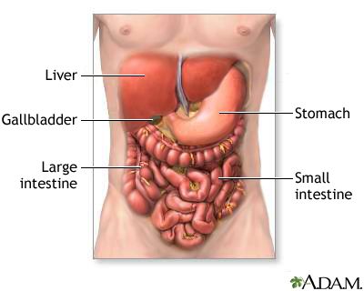 Hepatitis: Types, Causes, Effects On The Body, Treatment And Prevention