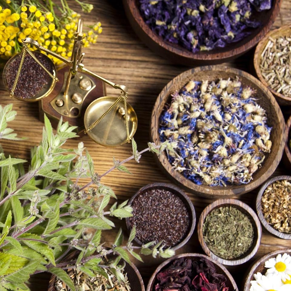 Sacrifice me to the gods if my local medicine fails to treat coronavirus patients – Herbal practitioner
