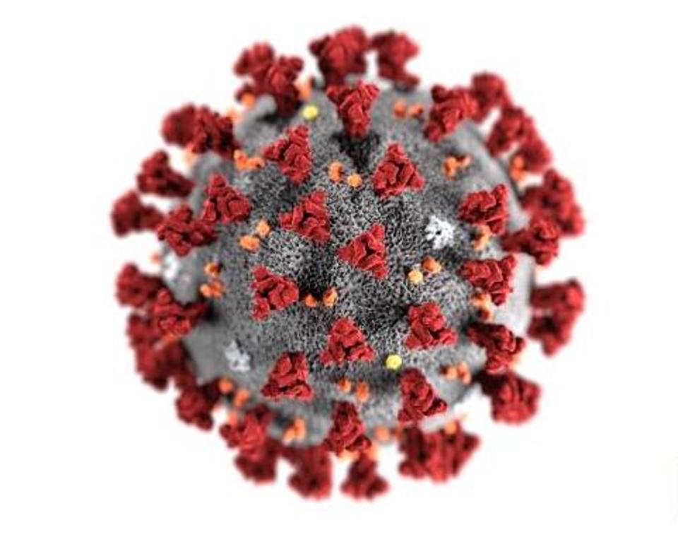 Opinion: The Coronavirus Pandemic And Matters Arising: Christ Suffers with Us; Don't Panic