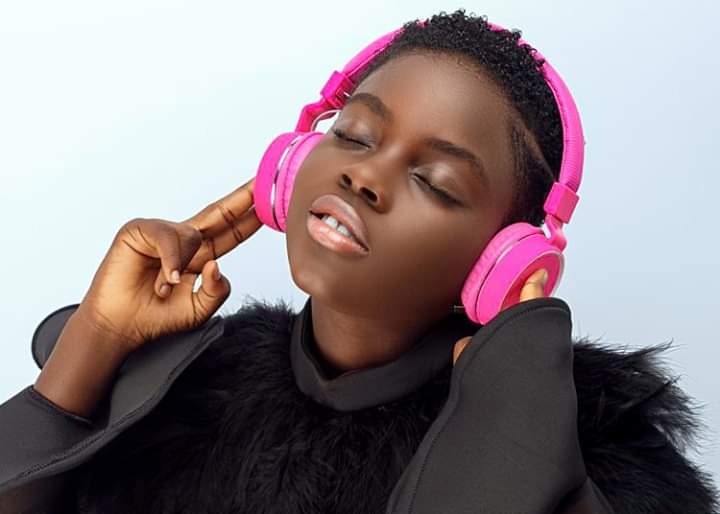 Make e-learning platform available to all – DJ Switch to government